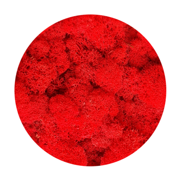 Purified Reindeer Moss Red 0,5 kg FINNISH